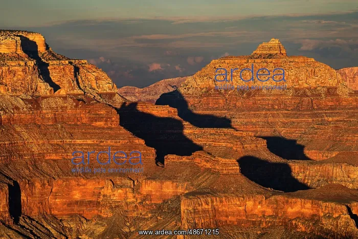 : Vishnu Temple at sunset from south rim, Grand Canyon : Vishnu Temple at sunset from south rim, Grand Canyon