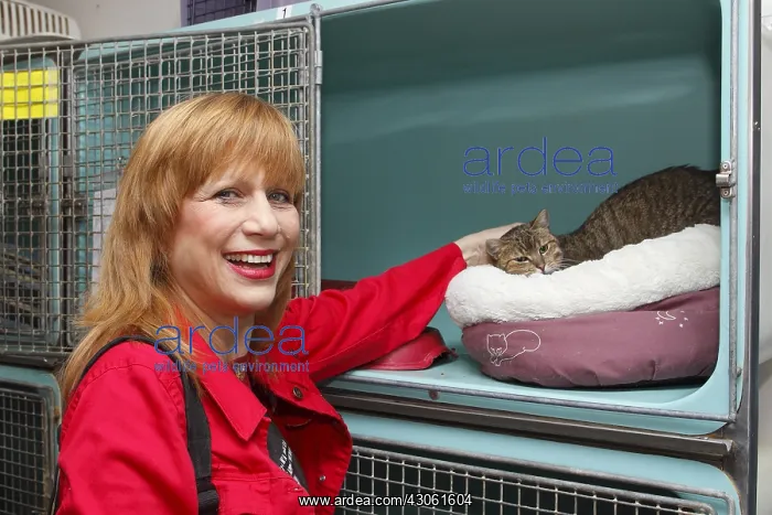 : Visit a shelter SPA by singer Stone France : Visit a shelter SPA by singer Stone France