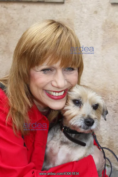 : Visit a shelter SPA by singer Stone France : Visit a shelter SPA by singer Stone France
