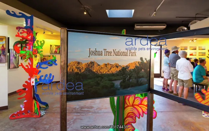 : Visitor Center, Joshua Tree National Park, California : Visitor Center, Joshua Tree National Park, California
