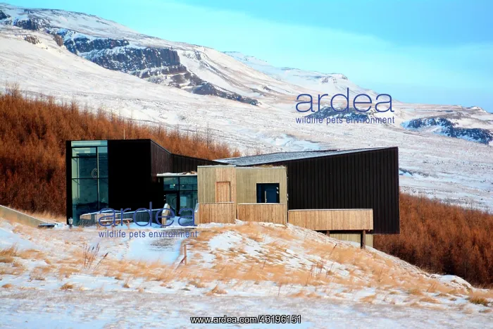 : The visitor center of Snaefellsstofa display the : The visitor center of Snaefellsstofa display the