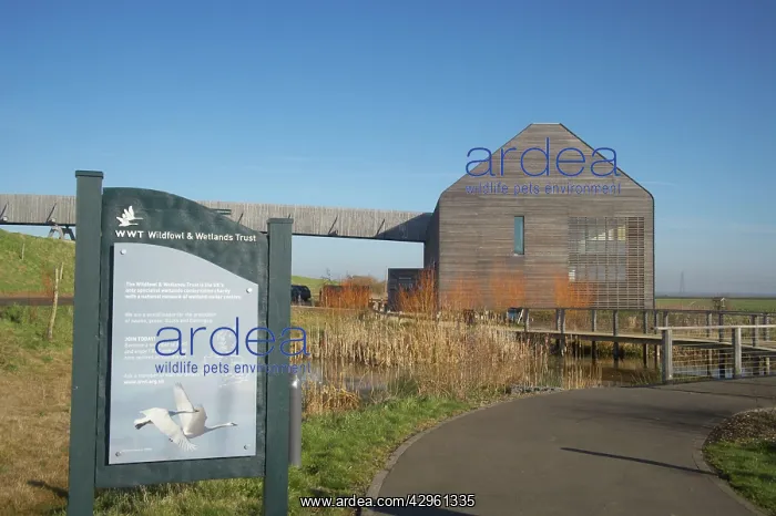: Visitor Centre - Welney WWT Reserve : Visitor Centre - Welney WWT Reserve