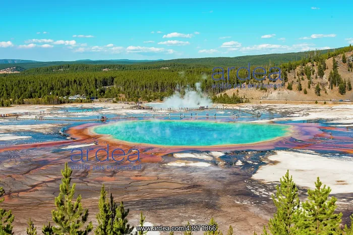 : Visitors on footbridge over steaming hot spring : Visitors on footbridge over steaming hot spring
