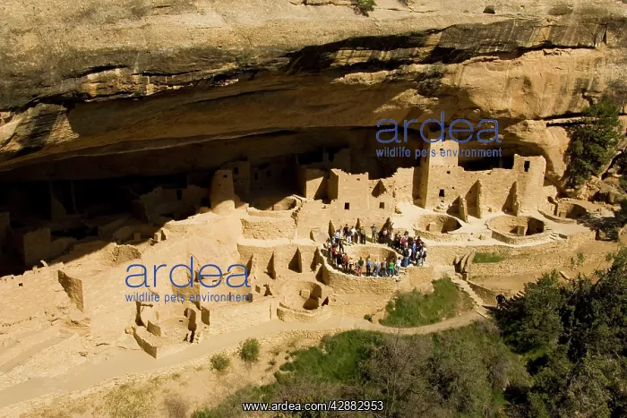 : Visitors on a guided tour at the fabulous Cliff : Visitors on a guided tour at the fabulous Cliff