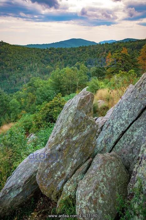 : Vista with boulders, Shenandoah, Blue Ridge Parkway : Vista with boulders, Shenandoah, Blue Ridge Parkway