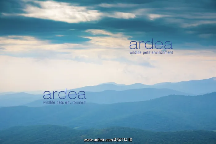 : Vista, Shenandoah, Blue Ridge Parkway, Smoky Mountains, USA : Vista, Shenandoah, Blue Ridge Parkway, Smoky Mountains, USA