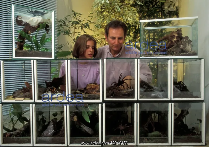 : Vivarium / Terrariums - Man and girl observing : Vivarium / Terrariums - Man and girl observing