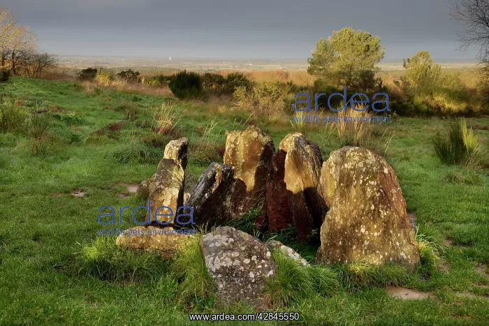 : Vivian's House Ruins - Megalithic ruin : Vivian's House Ruins - Megalithic ruin