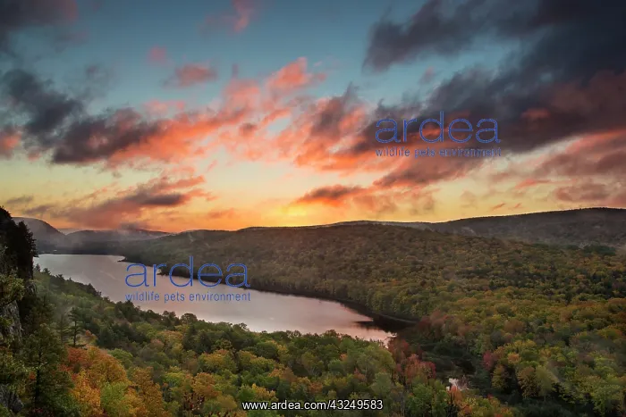 : Vivid sunrise over Lake of the Clouds in : Vivid sunrise over Lake of the Clouds in