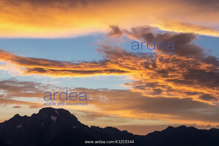 : Vivid sunset clouds over the Snake River : Vivid sunset clouds over the Snake River