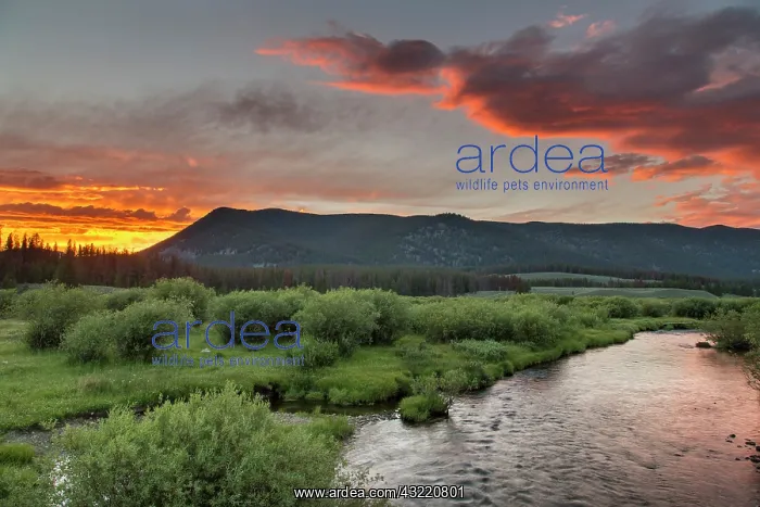 : Vivid sunset clouds over the Wise River : Vivid sunset clouds over the Wise River