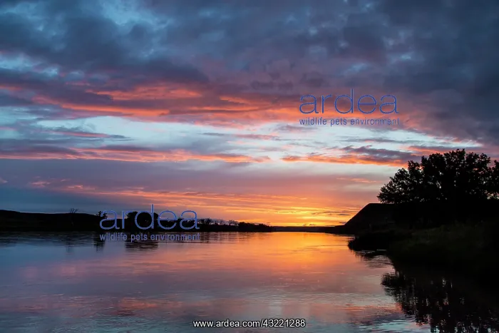 : Vivid sunset reflects into the Missouri : Vivid sunset reflects into the Missouri