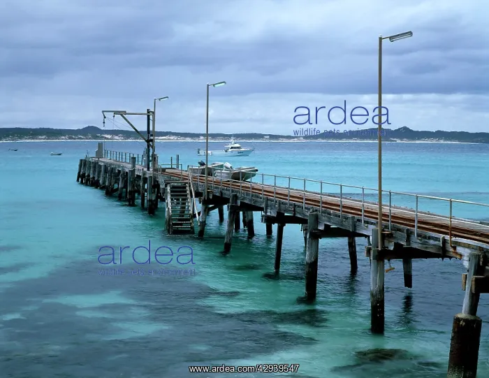 : Vivonne Bay wharf, built 1911 and decked with jarrah : Vivonne Bay wharf, built 1911 and decked with jarrah