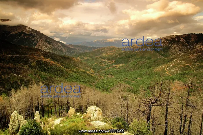  : Vizzavona Corsica, France