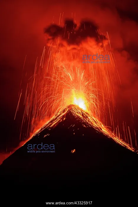 : Volc n de Fuego (Volcano of fire) eruption at ni : Volc n de Fuego (Volcano of fire) eruption at ni