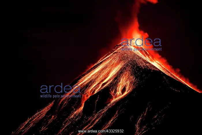 : Volc n de Fuego (Volcano of fire) eruption at ni : Volc n de Fuego (Volcano of fire) eruption at ni