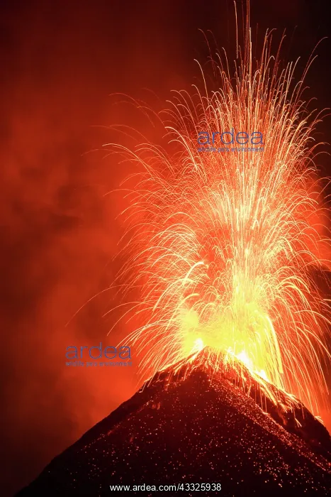: Volc n de Fuego (Volcano of fire) eruption at ni : Volc n de Fuego (Volcano of fire) eruption at ni