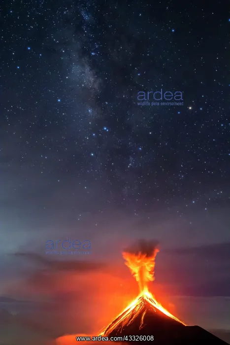 : Volc n de Fuego (Volcano of fire) eruption at ni : Volc n de Fuego (Volcano of fire) eruption at ni