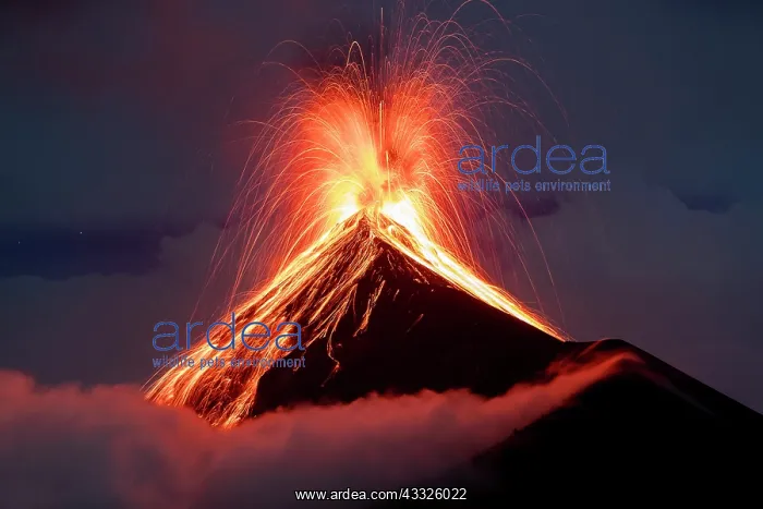 : Volc n de Fuego (Volcano of fire) eruption at ni : Volc n de Fuego (Volcano of fire) eruption at ni