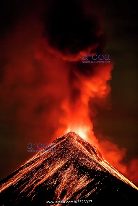 : Volc n de Fuego (Volcano of fire) eruption at ni : Volc n de Fuego (Volcano of fire) eruption at ni