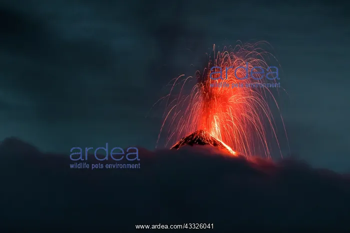 : Volc n de Fuego (Volcano of fire) eruption at ni : Volc n de Fuego (Volcano of fire) eruption at ni