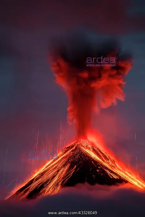 : Volc n de Fuego (Volcano of fire) eruption at ni : Volc n de Fuego (Volcano of fire) eruption at ni