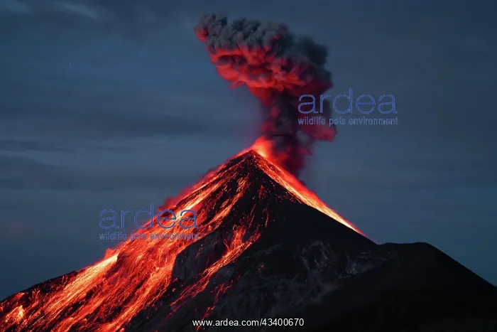 : Volcan de fuego, Antigua Guatemala : Volcan de fuego, Antigua Guatemala