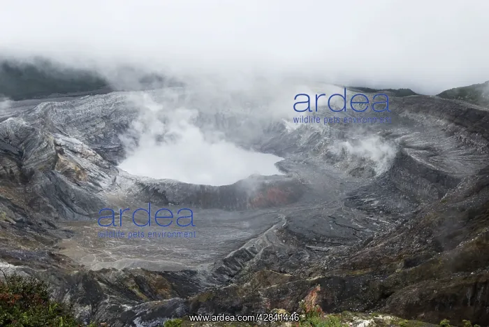 : Volcan Poas National Park : Volcan Poas National Park