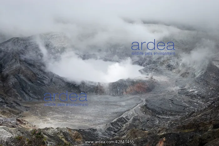 : Volcan Poas National Park : Volcan Poas National Park