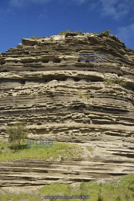 : Volcanic Ash Layers : Volcanic Ash Layers