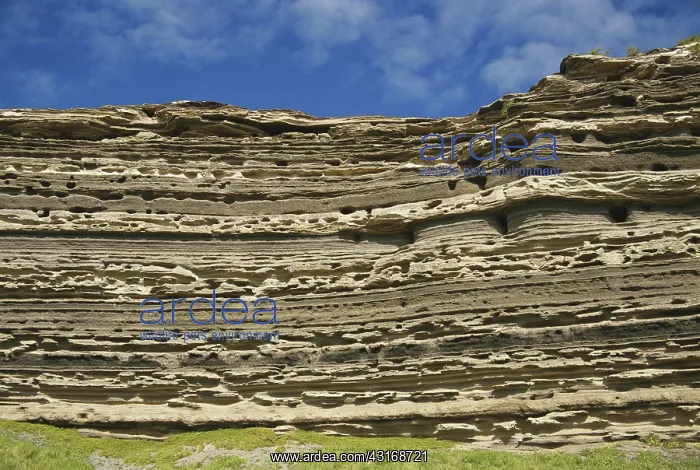 : Volcanic Ash Layers : Volcanic Ash Layers
