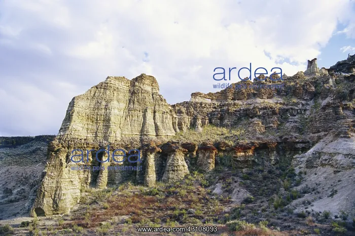 : Volcanic Ash in Oregon : Volcanic Ash in Oregon
