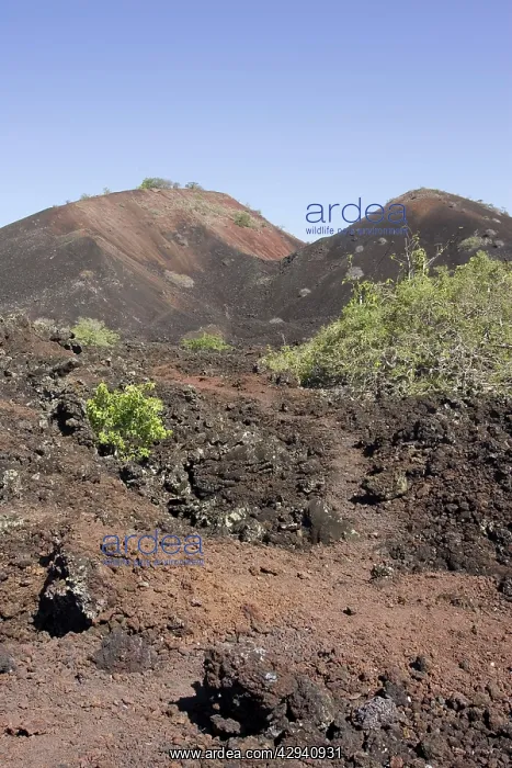  : Volcanic - Chaimu lava flow with volcanic cones