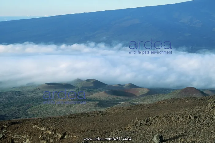 : Volcanic Cones, Mauna Kea, Hawaii : Volcanic Cones, Mauna Kea, Hawaii