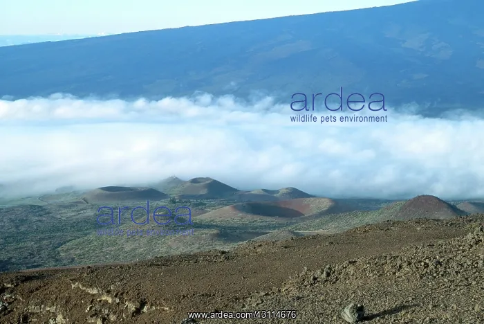 : Volcanic Cones, Mauna Kea, Hawaii : Volcanic Cones, Mauna Kea, Hawaii