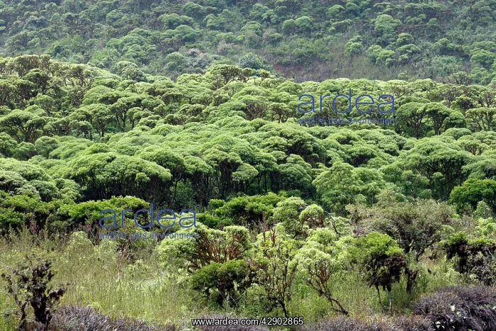 : Volcanic Crater - Los Gemelos (The Twins) - on : Volcanic Crater - Los Gemelos (The Twins) - on