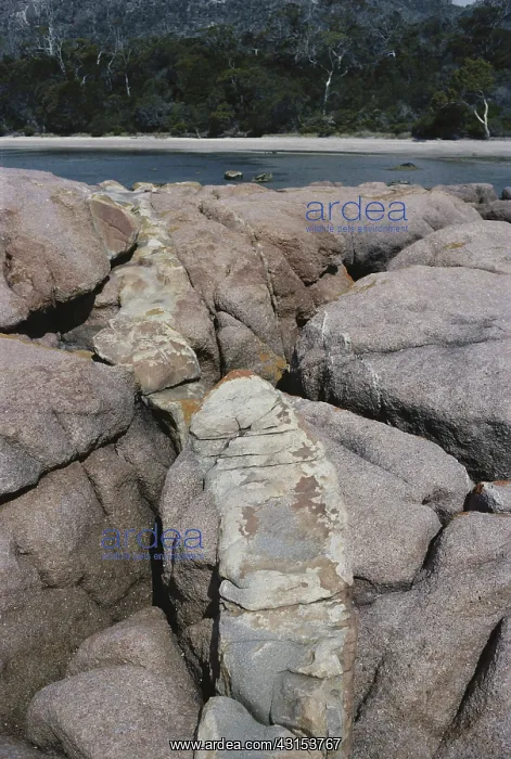 : Volcanic Dike in Granite : Volcanic Dike in Granite