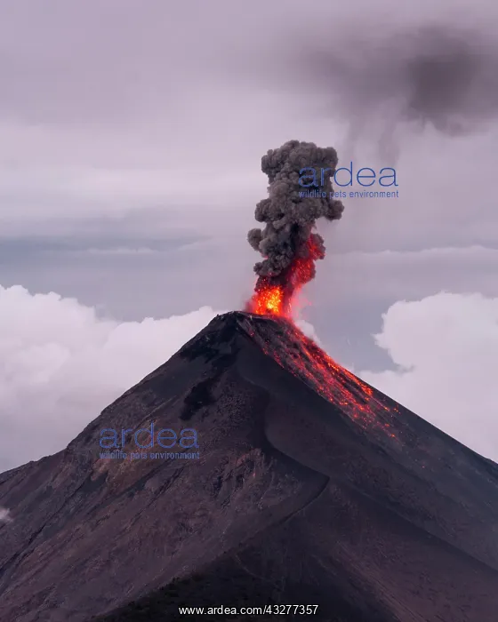 : Volcanic eruption, smoke cloud, Volcan de Fuego : Volcanic eruption, smoke cloud, Volcan de Fuego