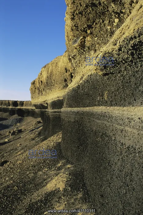 : Volcanic Gravel Pit : Volcanic Gravel Pit