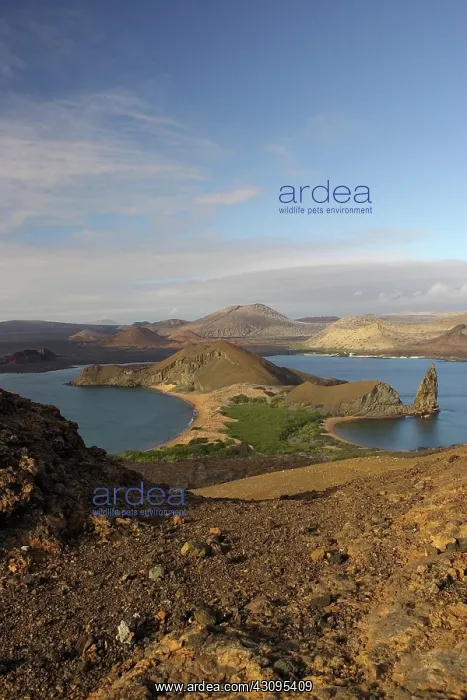 : Volcanic landscape, Galapagos : Volcanic landscape, Galapagos