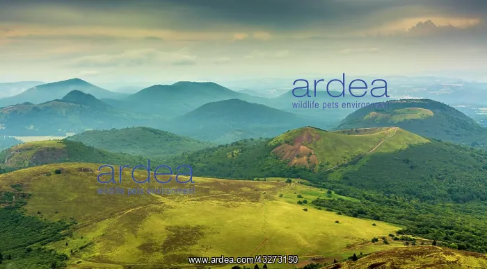: Volcanic landscape of Regional Nature Park of the : Volcanic landscape of Regional Nature Park of the