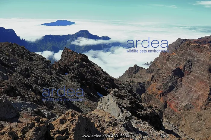 : Volcanic landscape at Roque de los Moschaschos in : Volcanic landscape at Roque de los Moschaschos in
