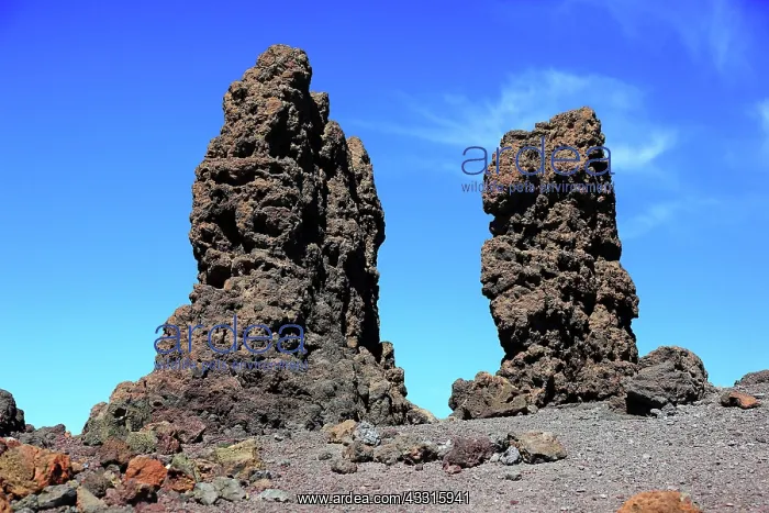 : Volcanic Landscape at Roque de los Moschaschos in : Volcanic Landscape at Roque de los Moschaschos in