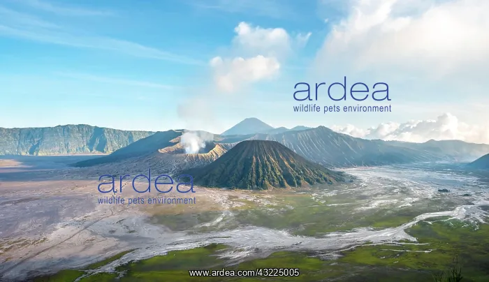 : Volcanic landscape at sunrise, smoking volcano Gunung : Volcanic landscape at sunrise, smoking volcano Gunung