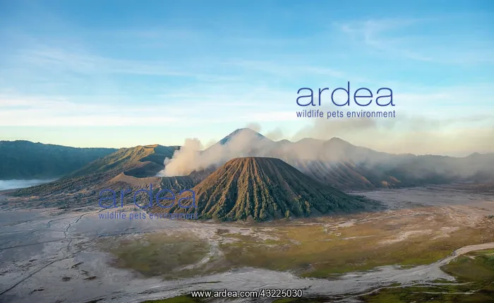 : Volcanic landscape at sunrise, smoking volcano Gunung : Volcanic landscape at sunrise, smoking volcano Gunung