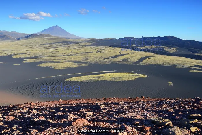: Volcanic lunar landscape, Payun volcano in the background : Volcanic lunar landscape, Payun volcano in the background