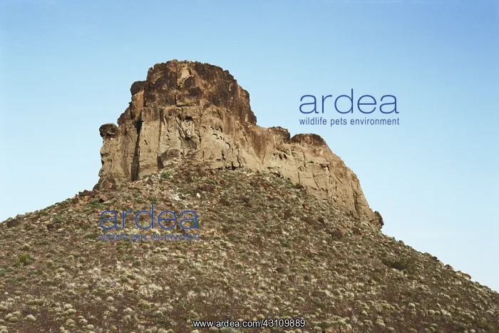 : Volcanic Outcrop in California : Volcanic Outcrop in California