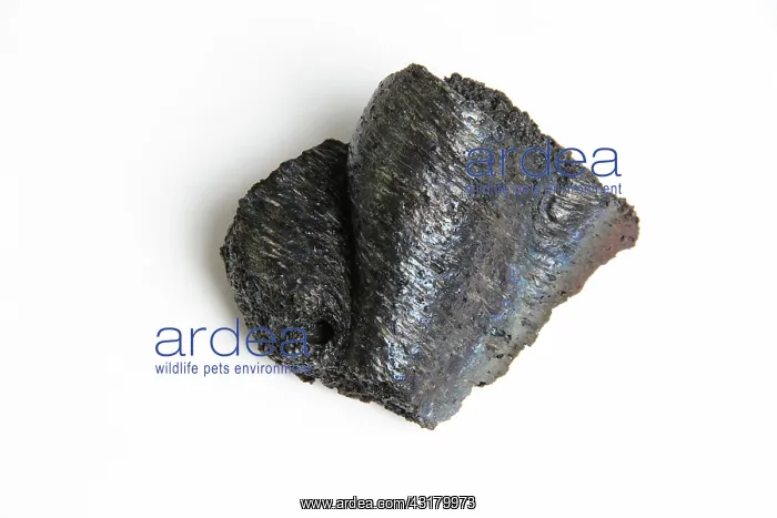 : Volcanic Rock : Volcanic Rock