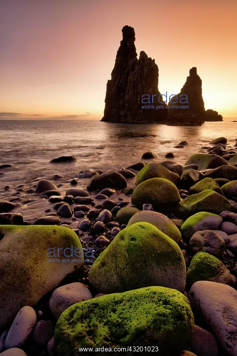 : Volcanic rock formation Ilheus da Rib, steep coast : Volcanic rock formation Ilheus da Rib, steep coast