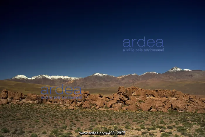 : Volcano - Atacama - Chile : Volcano - Atacama - Chile